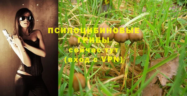 прущая мука Елабуга