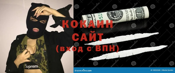 гидропоника Дмитриев