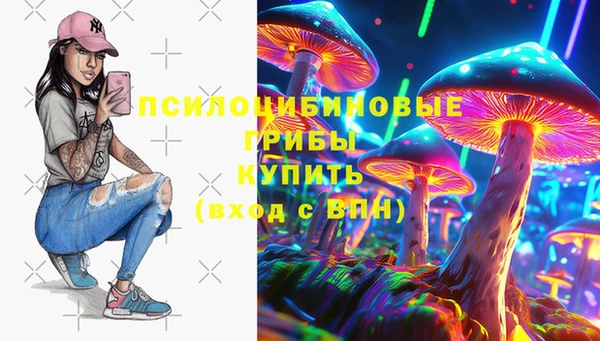 не бодяженный Ельня
