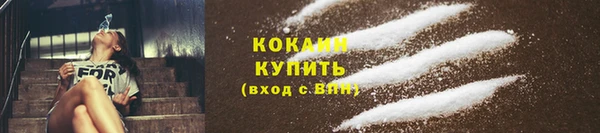 гидропоника Дмитриев