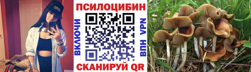 Галлюциногенные грибы Psilocybine cubensis  blacksprut ССЫЛКА  Очёр 